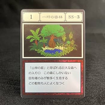 ハンターハンタースペルカードセット　磁力、一坪の森林など ハンターハンタースペルカードセット 磁力、一坪の森林など